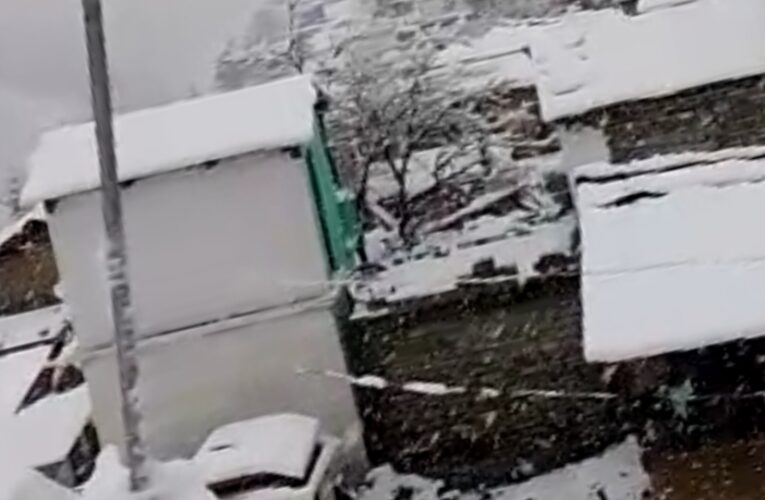 चमोली, बद्रीनाथ सहित पहाड़ी क्षेत्रों में जमकर हो रही है बर्फबारी, देखें सुंदर वीडियो…