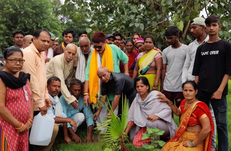 पूर्व मंडी अध्यक्ष संजय चोपड़ा के जन्मदिवस पर सामाजिक संगठनों के प्रतिनिधियों ने किए फलदार वृक्षारोपण…