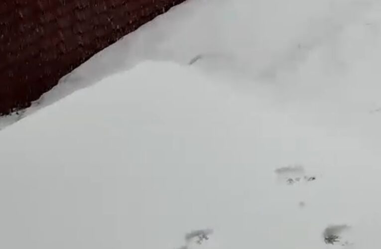चारों धामों में जमकर बर्फबारी, देखें मनमोहक वीडियो