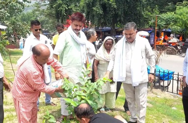 संजय चोपड़ा के संयोजन में वृक्षारोपण यात्रा निकालकर आम जनता को पर्यावरण के प्रति किया जागरूक…