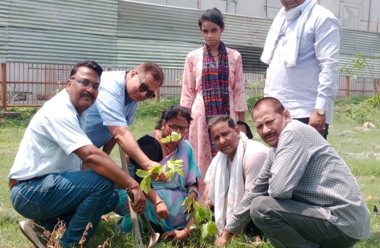 उदय भारत सिविल सोसाइटी ने “एक पेड़ उत्तराखंड के शहीदों के नाम” समर्पित करते हुए किया वृक्षारोपण…