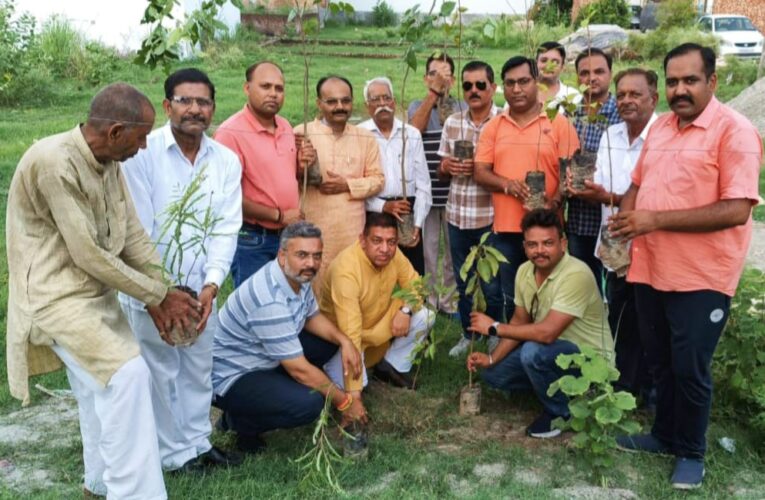 भाजपा जिला अध्यक्ष के नेतृत्व में कार्यकर्ताओं ने ‘एक पेड़ मां के नाम लगाकर’ कार्यक्रम किया आयोजित…