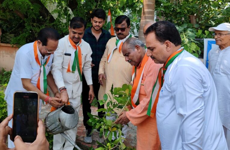 हरेला पर स्वतंत्रता सेनानी उत्तराधिकारियों ने शहीद जगदीश वत्स पार्क में लगाए 65 वृक्ष…