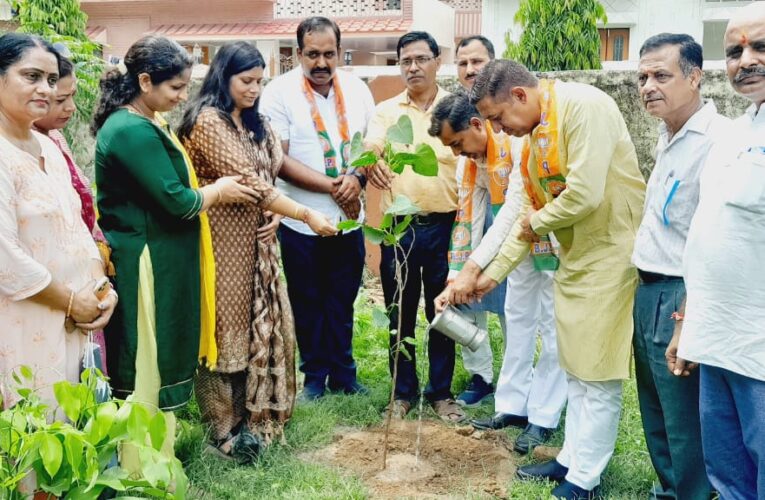 प्रधानमंत्री नरेंद्र मोदी के आह्वाहन पर “एक पेड़ मां के नाम” कार्यक्रम के तहत भाजपा जिला महामंत्री आशु चौधरी  के संयोजन में हुआ पौधारोपण