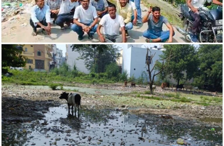 नगर निगम द्वारा गुरुकुल कांगड़ी आंवले के बाग के पास डाले जा रहे कूड़े के विरोध में क्षेत्र वासियों ने दिया धरना, हटाए जाने की मांग, देखें वीडियो