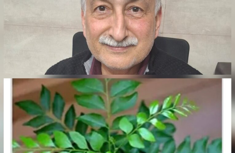 एक ऐसा पत्ता जिसके बगैर खाना कम्प्लीट नहीं होता_दीपक वैद्य