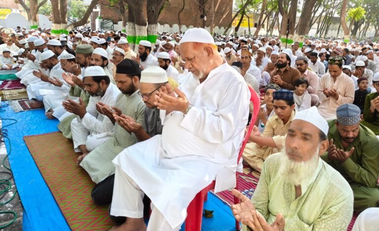 IMG-20260528-WA0053.jpg